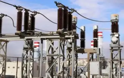 ما يجب معرفته عن فيروس نيباه