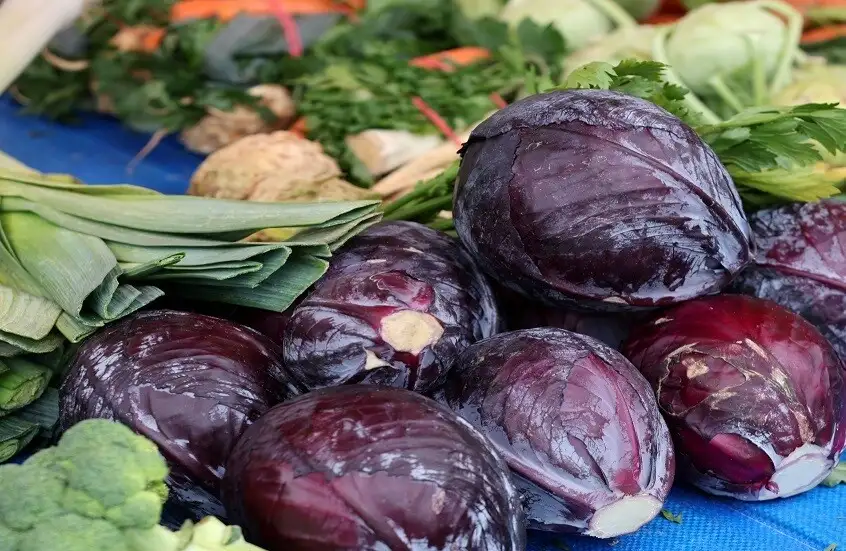 منتج يبطئ تصلب الشرايين ويقلل من