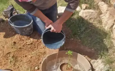 رياض محرز يتصدر 5 جنود في