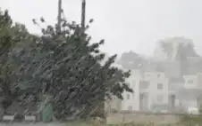 الأرصاد: أمطار المنخفض الأخير رفعت الموسم