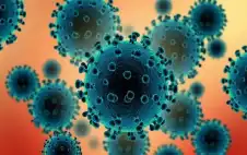 صحة ـ خبراء أوبئة يحددون فيروسين كأكبر تهديد
