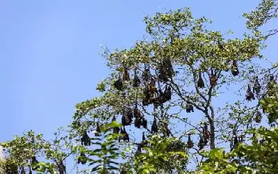 السعودية تعلن فتح باب التجنيد للرجال