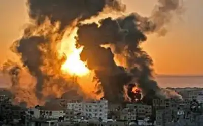 الأسرة النيابية تدعو لخلق بيئة مناسبة