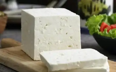 تركيا تنجرف الى الحرب بقوة ضد