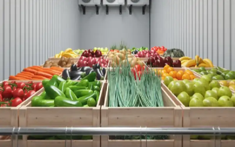 2200 طن من الخضار ترد السوق