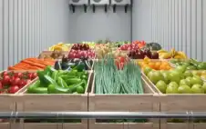 2200 طن من الخضار ترد السوق