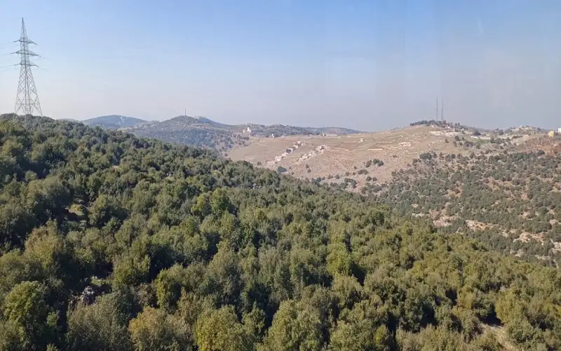 ارتفاع مساحة المحميات الطبيعية بنسبة 2.3%