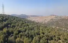 ارتفاع مساحة المحميات الطبيstrongعيstrongة بنسبة 2.3%