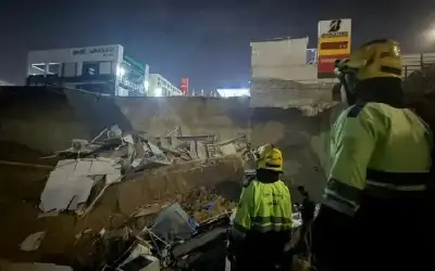 هل الجبن عالي الدسم مفيد لصحة