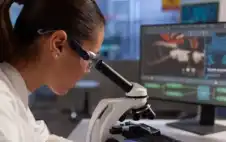 اليابان تعلن الحرب على نيباه ..