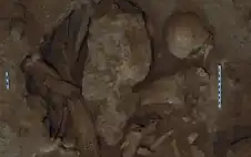 الأمن: العثور على عظام بشرية داخل