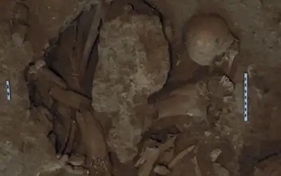 بهدوء ـ بقلم: عمر كلاب