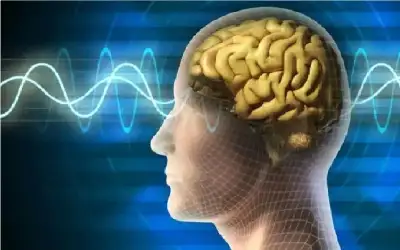 وزارة التربية توزع 163 جهازا لوحيا