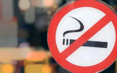 دراسة تحذر من غزو الدبابير الآسيوية