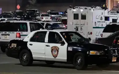 ذكاء يطبطب على الغباء ـ بقلم: