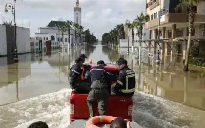 ذكاء يطبطب على الغباء ـ بقلم: