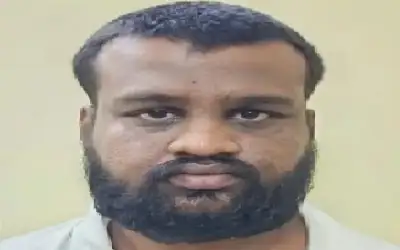 ذكاء يطبطب على الغباء ـ بقلم: