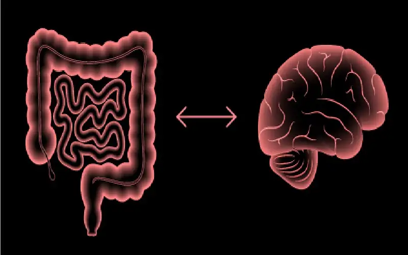 أمل لعلاج الاكتئاب.. اكتشاف بروتين يصلح