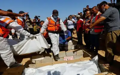 شتيوي: التقاعد المبكر من أكثر الفواتير