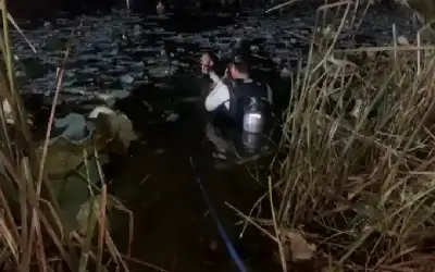 صوديوم قليل .. قلب سليم