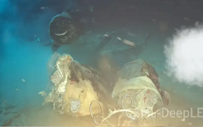 تجربة صادمة.. ماذا حدث عندما ألقى