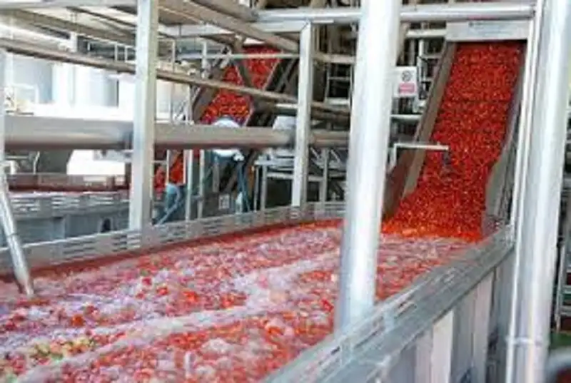 افتتاح أول مصنع لرب البندورة في