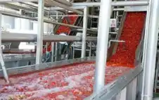 افتتاح أول مصنع لرب اstrongلبstrongندورة في