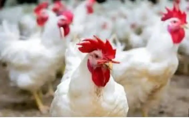 مع اقتراب شهر رمضان .. أسعار