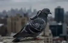 روسيا تطور حماما تجسسيا مزودا بشرائح