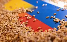 روسيا تحصد ثالث أكبر محصول حبوب