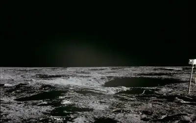 إذا اختلفوا فضحوا ـ بقلم: سهير