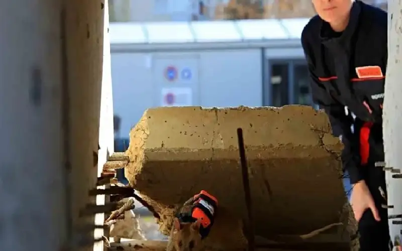 من أدغال تنزانيا إلى مدن الزلازل..