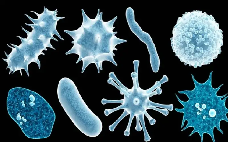 القائمة الحمراء لعام 2026.. 3 فيروسات