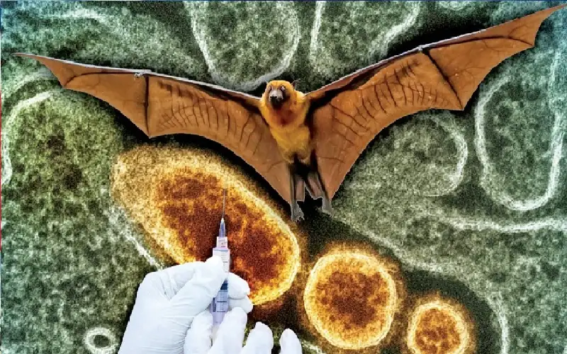 هل يكفي فحص المطارات لإيقاف جائحة