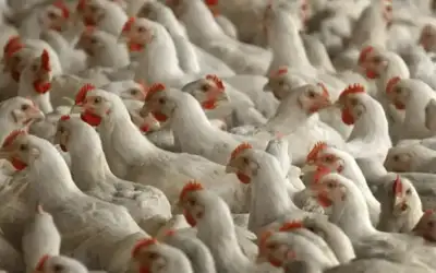 مصدر رسمي: متابعة حكومية مع دمشق