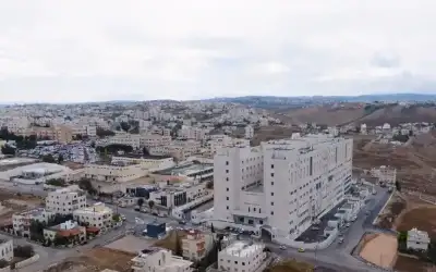 فيديو: معركة شرسة بين تمساحين ضخمين