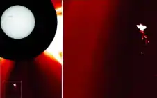 جسم غامض شبيه بالطير