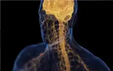 دراسة تثبت أن الاكتئاب ينخر العظام