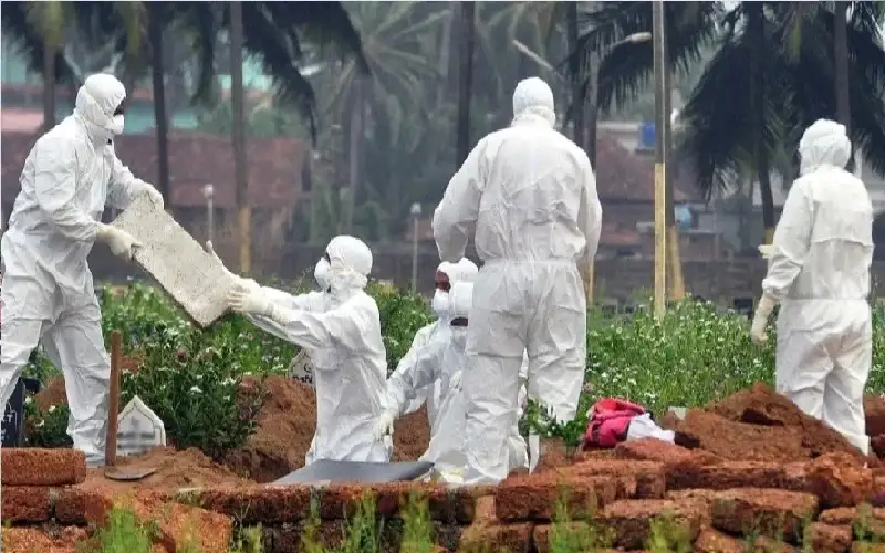 فيروس نيباه وصل منزلها.. وفاة سيدة