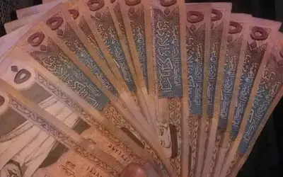 الإصابة تنهي موسم الجزائري بن ناصر