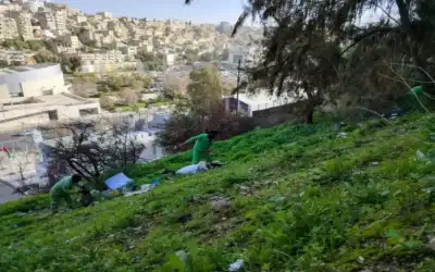 الحصاد الرياضي للعام الاستثنائي 2020