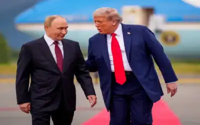 90.5 مليون دينار أرباح مجموعة البنك