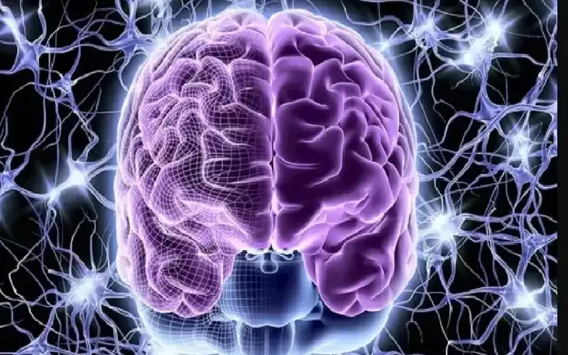 دراسة تحذر من وجبات منتصف الليل..