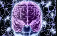 دراسة تحذر من وجبات منتصف الليل..