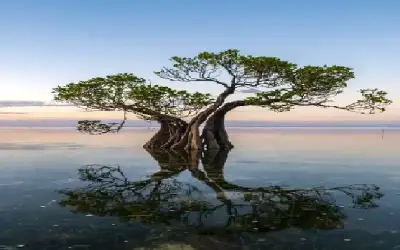 شركات الكهرباء: ارتفاع الفواتير سببه تغير