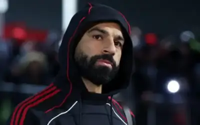 إبستينكو للمقاولات الجسدية ـ بقلم: كامل