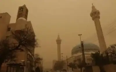 طائر انقرض 24 عاما ثم ظهر