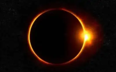 النائب مصلح الطراونة يفتح ملف المستشار