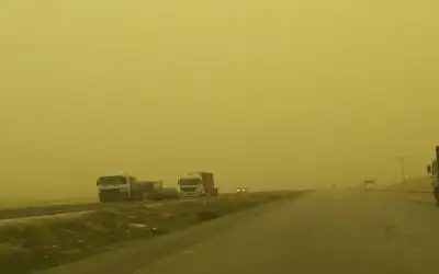 الحصبة تتفشى في 4 ولايات أمريكية