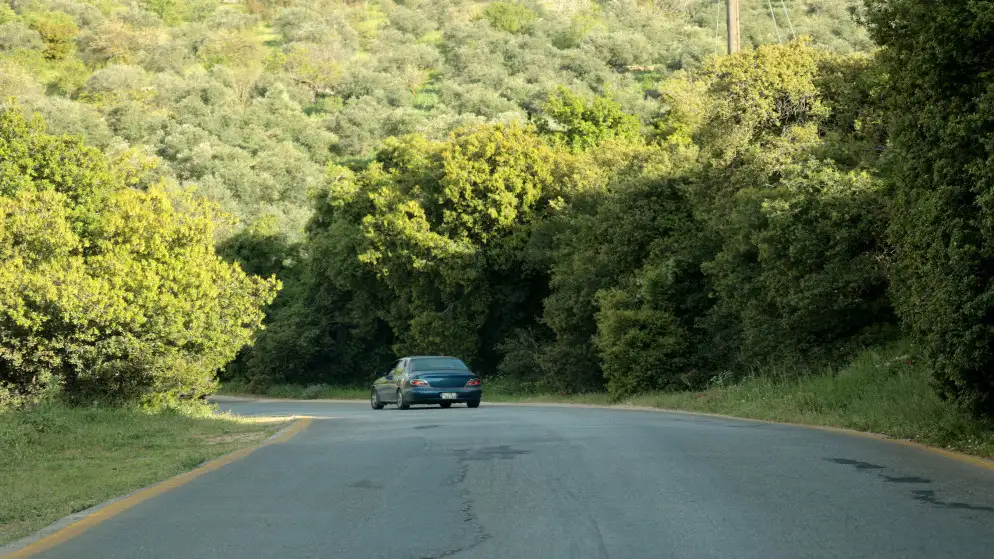 ربيع مبكر في عجلون يعزز الحركة